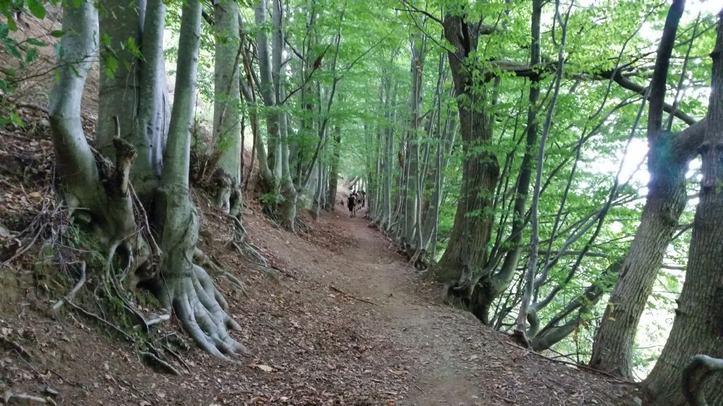 Alpi apuane - Gruppo Panie